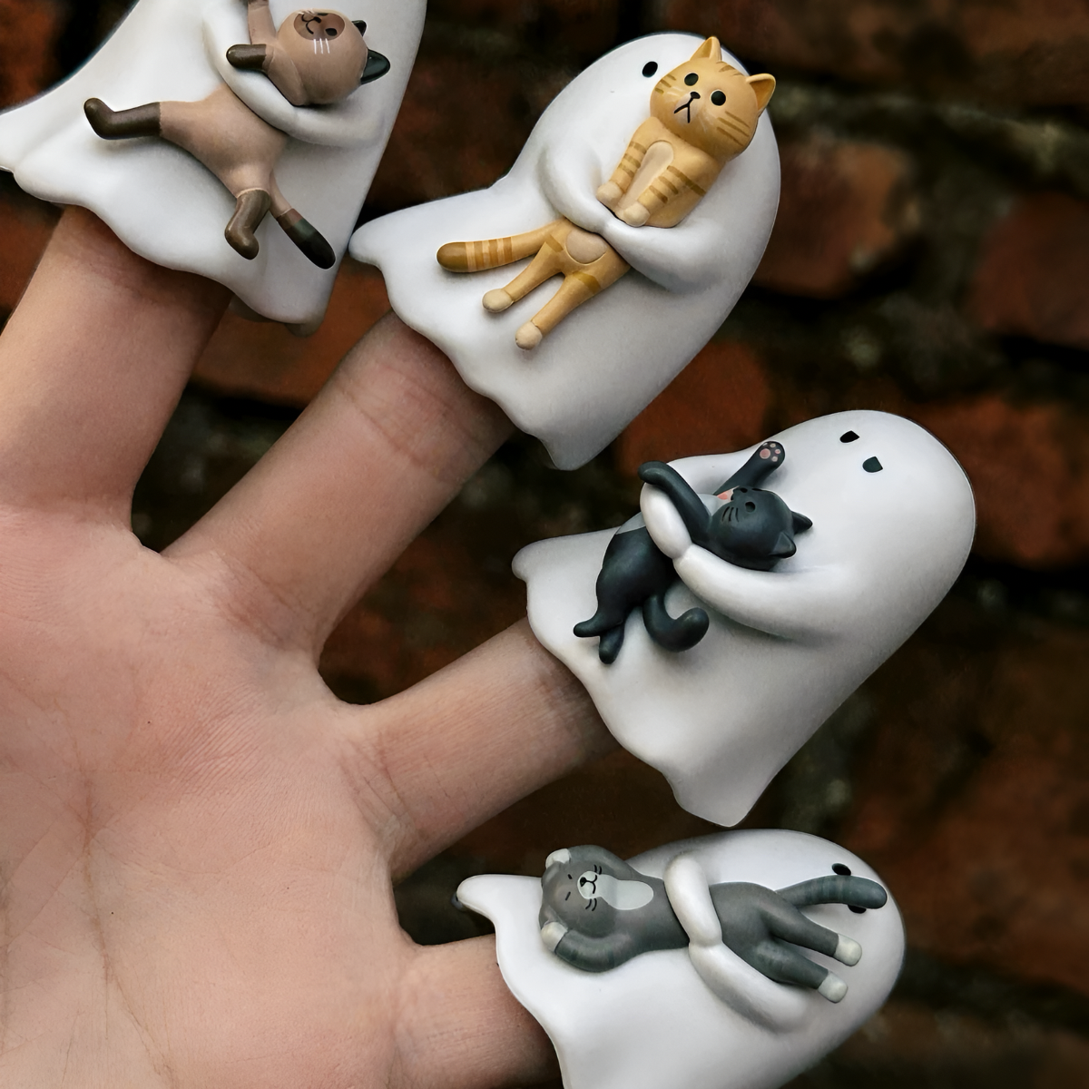 [AU STOCK] Behold My Cat Series Mini Figure Blind Box