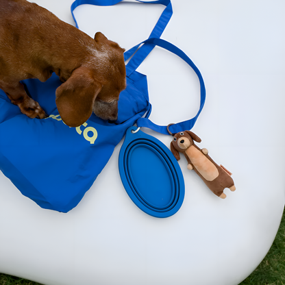 paaaata Dachshund Plush Keychain