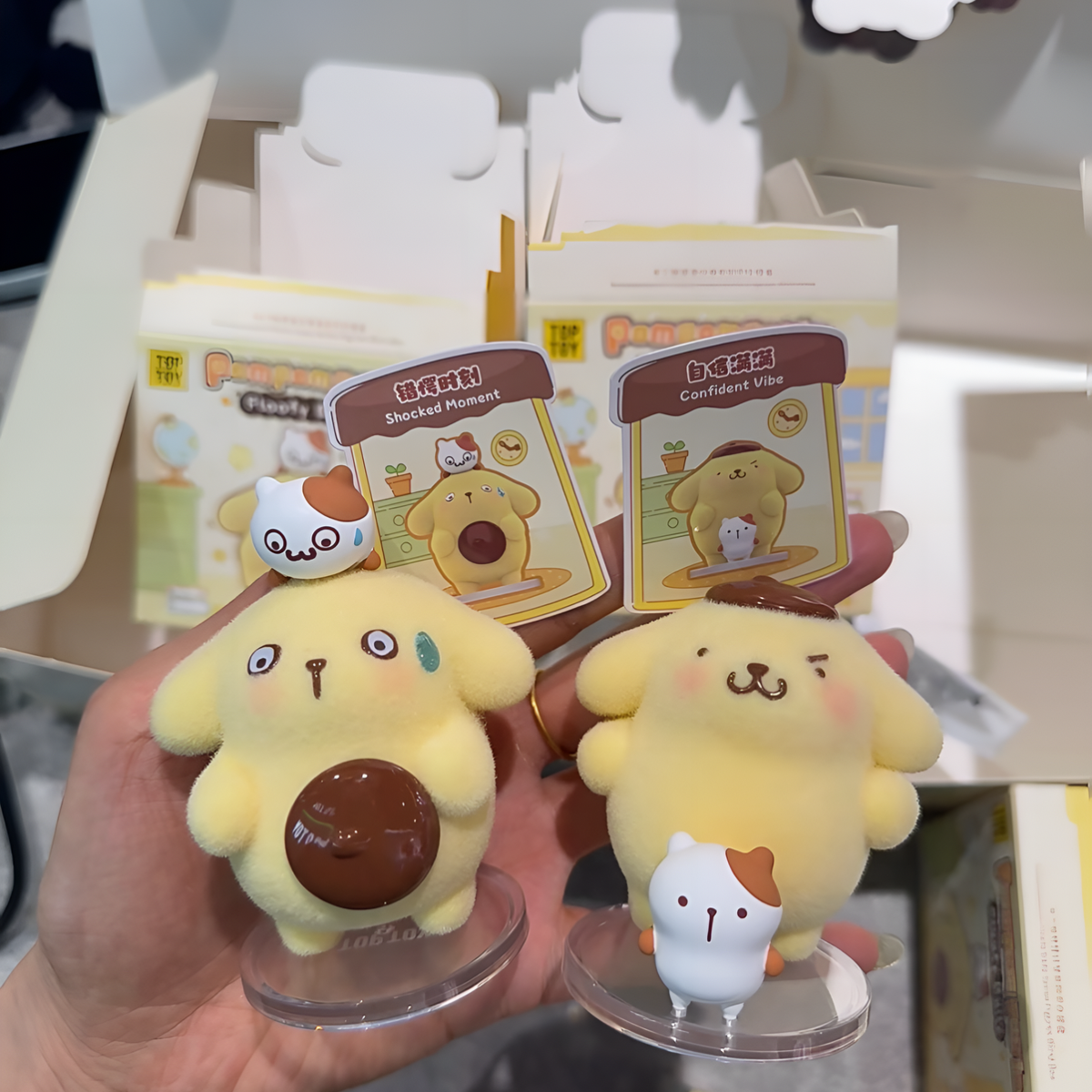 [AU STOCK] Pompompurin Floofy Daily Series Figure Blind Box