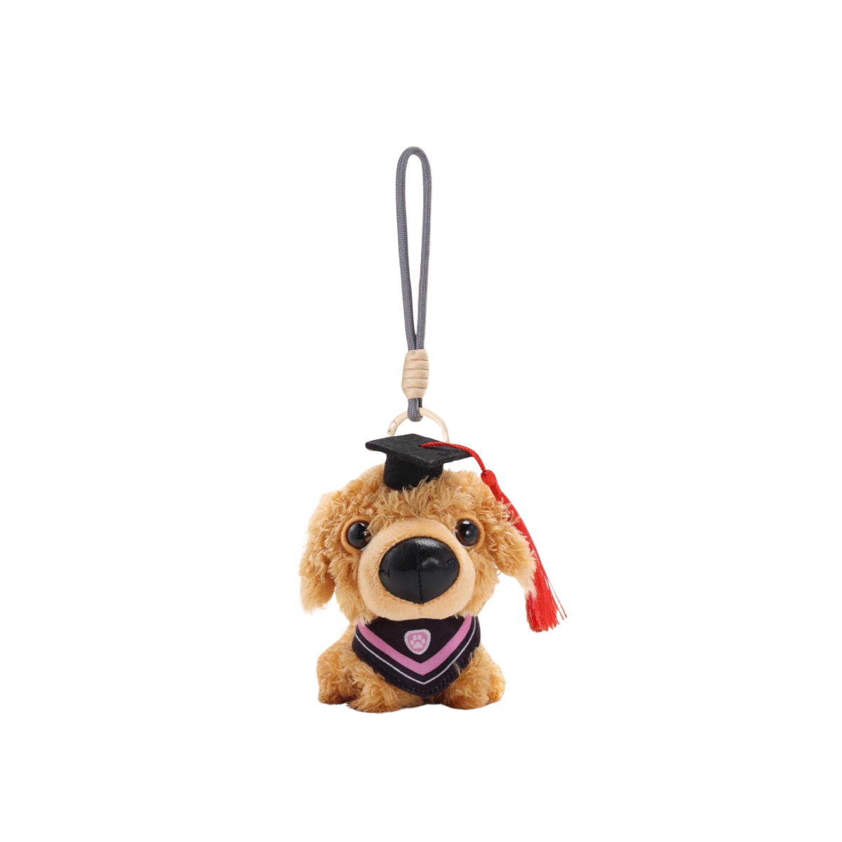 Artist Collection THE DOG AND FRIENDS - Graduation Series Plush Charm