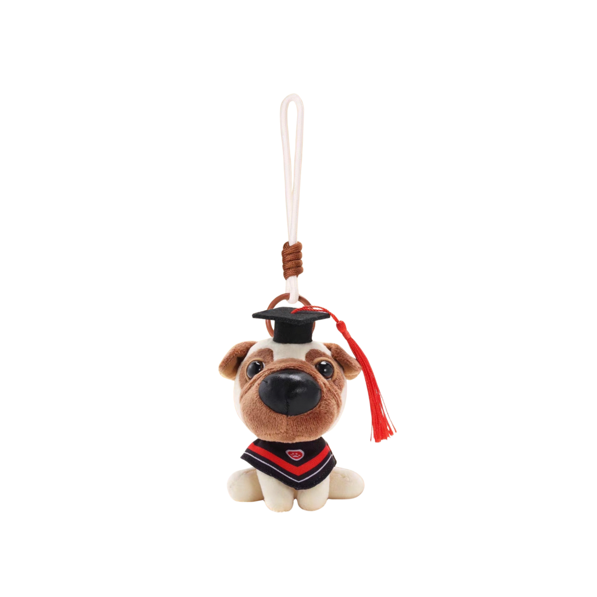 Artist Collection THE DOG AND FRIENDS - Graduation Series Plush Charm