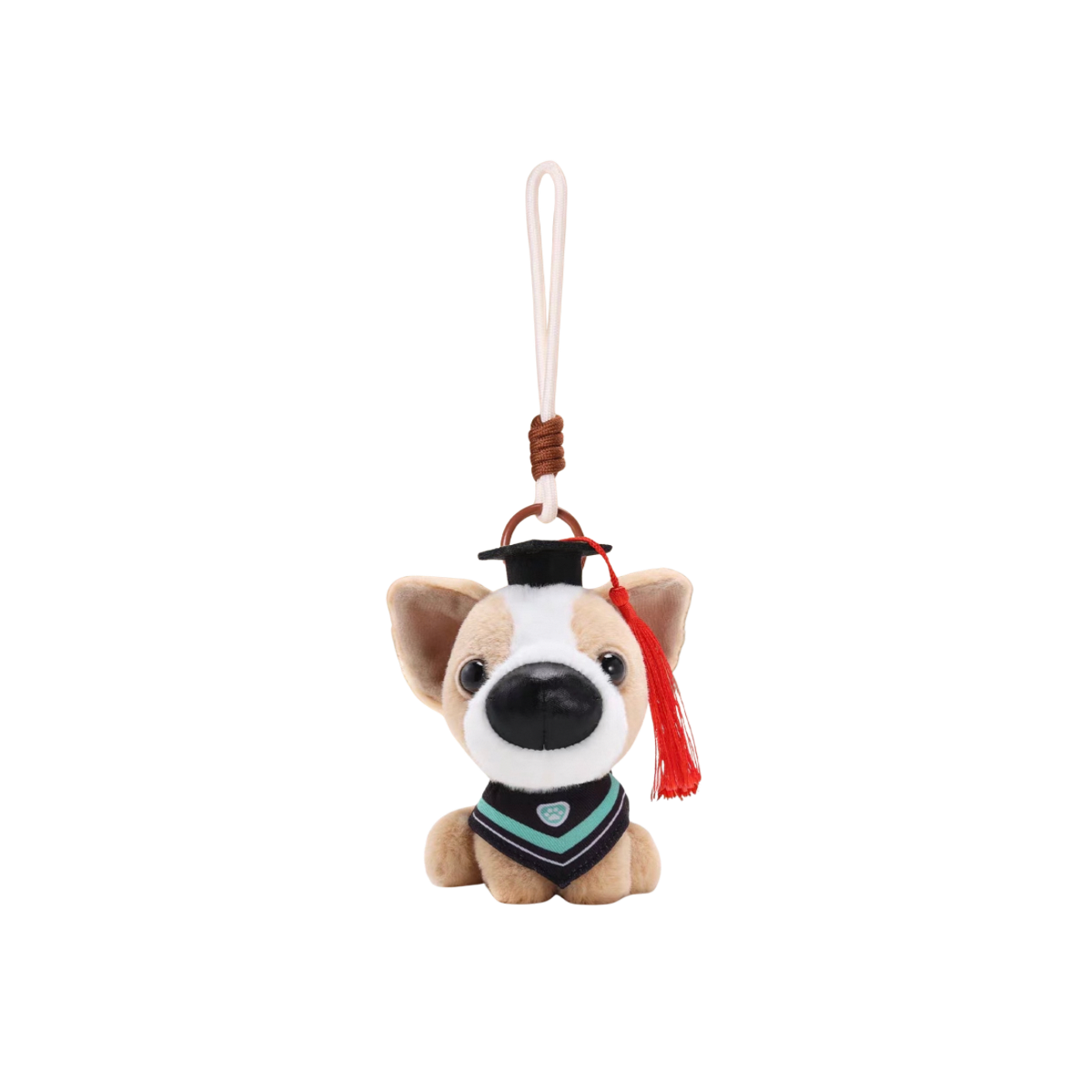 Artist Collection THE DOG AND FRIENDS - Graduation Series Plush Charm