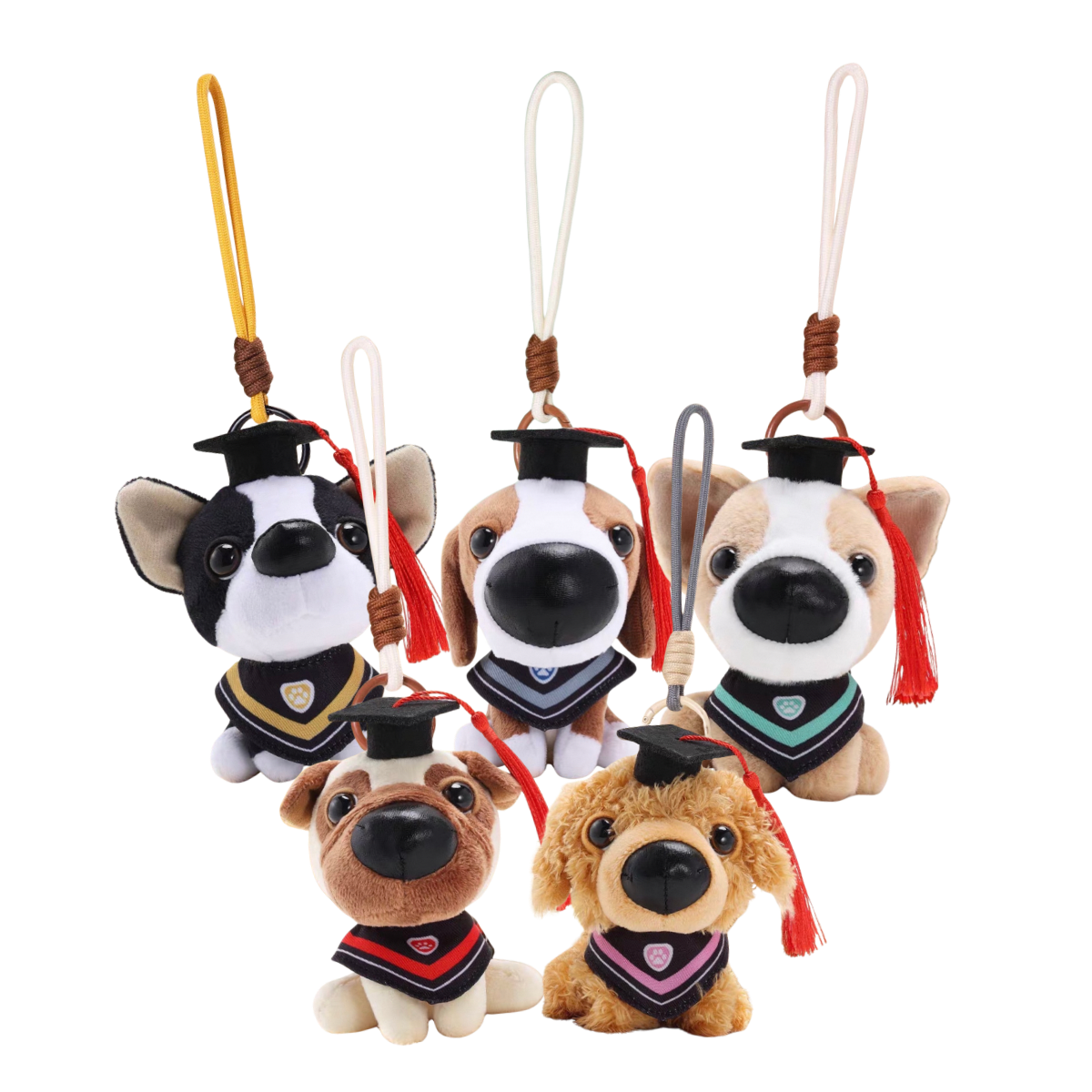 Artist Collection THE DOG AND FRIENDS - Graduation Series Plush Charm